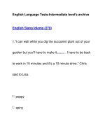 English Language Tests-Intermediate level''''s archiveEnglish Slang Idioms (279) doc