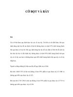 CỠ BỘT VÀ RÂY docx