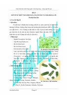 Giáo trình thực hành vi sinh ứng dụng và công nghệ lên men - Bài 9 pptx