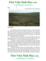 Đa dạng sinh học - part 3 doc