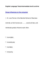 English Language Tests-Intermediate level''''s archiveGroup influences on the consumer pptx