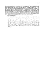 Sinh học đại cương part 9 potx