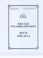 công ty phát triển nhà thủ đức báo cáo tài chính hợp nhất quý 2 năm 2012