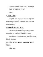Giáo án toán học lớp 5 - TIẾT 86: DIỆN TÍCH HÌNH TAM GIÁC pps