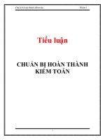 Chuẩn bị hoàn thành kiểm toán