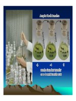 Phương pháp thu mẫu thủy sinh thực vật part 6 ppt