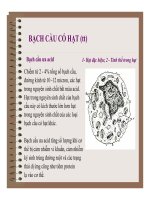 Đại cương về Mô và Phôi : Mô liên kết part 2 pps