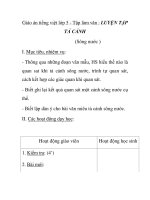 Giáo án tiếng việt lớp 5 - Tập làm văn : LUYỆN TẬP TẢ CẢNH (Sông nước ) potx