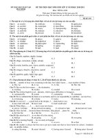 ĐỀ THI CHỌN HỌC SINH GIỎI LỚP 12 NĂM HỌC 2010-2011 Môn: TIẾNG ANH ppsx