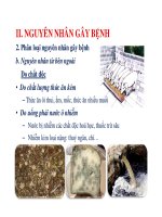 Giáo trình thú y cơ bản part 6 pps