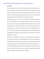 Tính tất yếu khách quan và con đường hình thành công ty mẹ - con ở Việt Nam - 1 doc