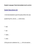 English Language Tests-Intermediate level''''s archiveEnglish Slang Idioms (24) docx