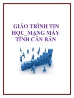 GIÁO TRÌNH TIN HỌC_MẠNG MÁY TÍNH CĂN BẢN pptx