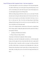 Huy động và sử dụng hiệu quả vốn đầu tư nước ngoài - 6 doc