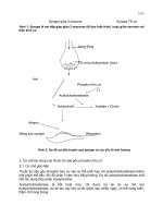 Bài giảng nội khoa : Tổng quát part 3 docx