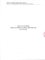 Công ty cổ phần tập đoàn thép tiến lên báo cáo tài chính quý 1 năm 2012