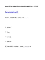 English Language Tests-Intermediate level''''s archiveUsing Adjectives (4) doc