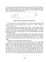 Giáo trình phân tích sơ đồ nguyên lý hệ thống lạnh trung tâm với thông số kỹ thuật p8 potx