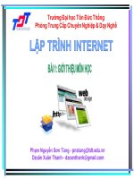 GIÁO TRÌNH TIN HỌC_LẬP TRÌNH INTERNET doc