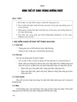 Vi sinh - ký sinh trùng - Bài 8 docx