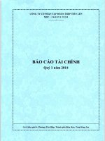 Công ty cổ phần tập đoàn thép tiến lên báo cáo tài chính quý 1 năm 2014