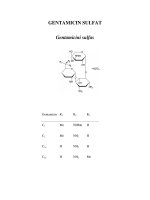GENTAMICIN SULFAT doc