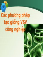 Các phương pháp tạo giống vi sinh vật công nghiệp