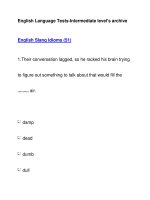 English Language Tests-Intermediate level''''s archiveEnglish Slang Idioms (51) ppt
