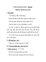 Giáo án khoa học lớp 5 - Bài dạy: PHÒNG BỆNH SỐT RÉT docx