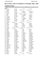 ĐỀ CƯƠNG ANH VĂN KHỐI 12 NĂM HỌC 2010 – 2011 pptx