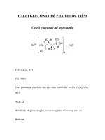 CALCI GLUCONAT ĐỂ PHA THUỐC TIÊM pdf