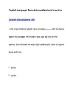 English Language Tests-Intermediate level''''s archiveEnglish Slang Idioms (48) ppsx