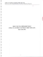Công ty cổ phần tập đoàn thép tiến lên báo cáo tài chính hợp nhất quý 4 năm 2012