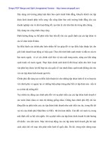 Tính tất yếu khách quan và con đường hình thành công ty mẹ - con ở Việt Nam - 5 pot