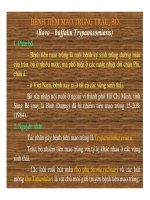 Bệnh tiêm mao trùng ở trâu bò potx