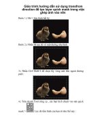 Giáo trình hướng dẫn sử dụng transfrom direction để tạo layer quick mask trong việc ghép ảnh vào nền p1 potx