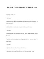 Các huyệt : đường kinh, cách xác định, tác dụng doc