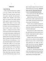 tóm tắt tiếng anh hoàn thiện hệ thống kiểm soát nội bộ tại tại tập đoàn hoá chất việt nam