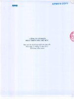 công ty phát triển nhà thủ đức báo cáo tài chính hợp nhất cho năm kết thúc 31 tháng 12 năm 2012 được kiểm toán