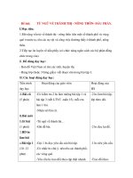 Giáo án Luyện từ và dấu câu lớp 3: Đề bài: TỪ NGỮ VỀ THÀNH THỊ - NÔNG THÔN- DẤU PHẨY. pot