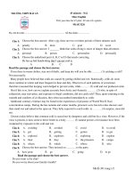 ĐỀ KIỂM TRA 1 TIẾT - Mã đề 3226 pps