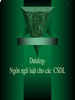 Giáo trình Tin Học: Datalog Ngôn ngữ luật cho các CSDL ppsx