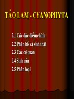 Giáo trình thực vật thủy sinh part 2 docx