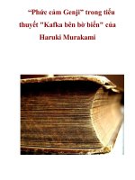 “Phức cảm Genji” trong tiểu thuyết 