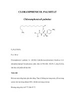 CLORAMPHENICOL PALMITAT docx