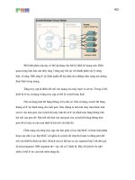 Giáo trình phân tích phương pháp phân đoạn mạng LAN theo bảng địa chỉ nguồn và đích của vector khoảng cách p8 pdf