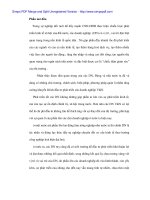 Các quan điểm về Doanh nghiệp nhà nước và giải pháp cho Việt Nam - 1 pptx