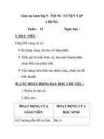 Giáo án toán lớp 5 - Tiết 54 : LUYỆN TẬP CHUNG pptx