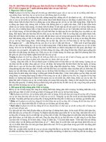 Câu hỏi ôn tập triết học ppt