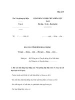 MẪU BÁO CÁO TÌNH HÌNH HOẠT ĐỘNG docx